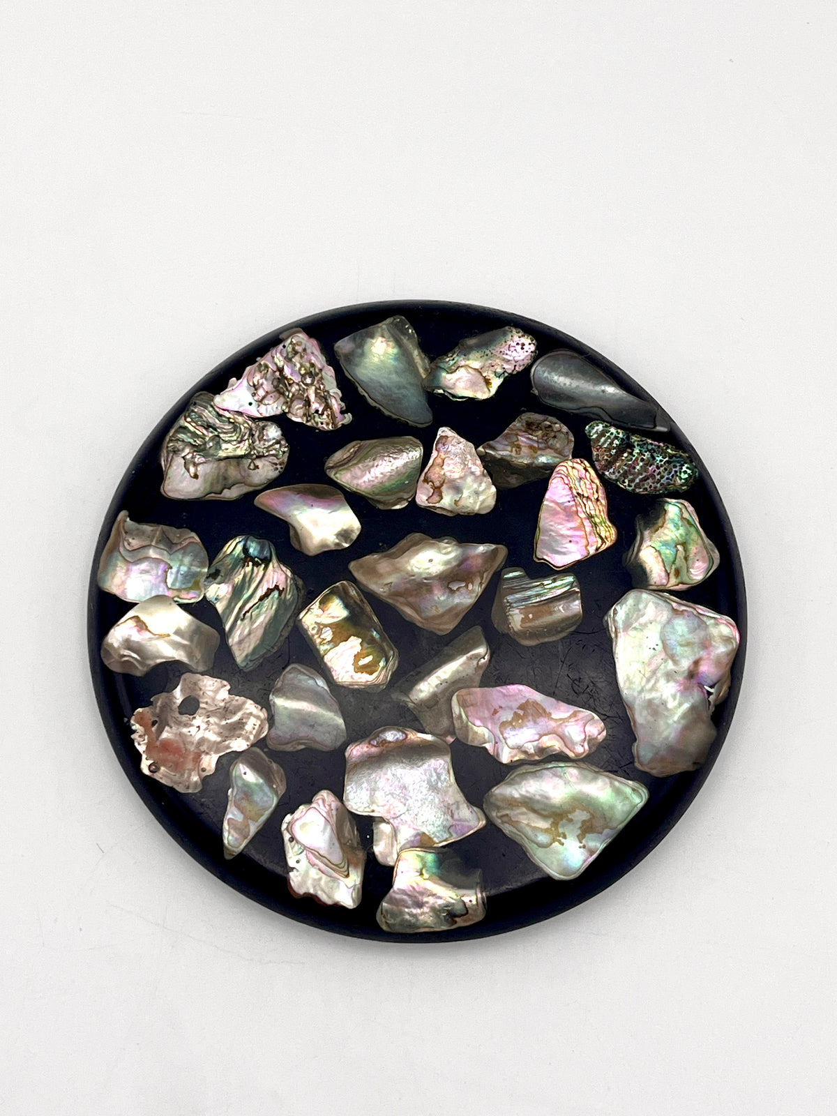 Vintage Abalone Shell Trivet
