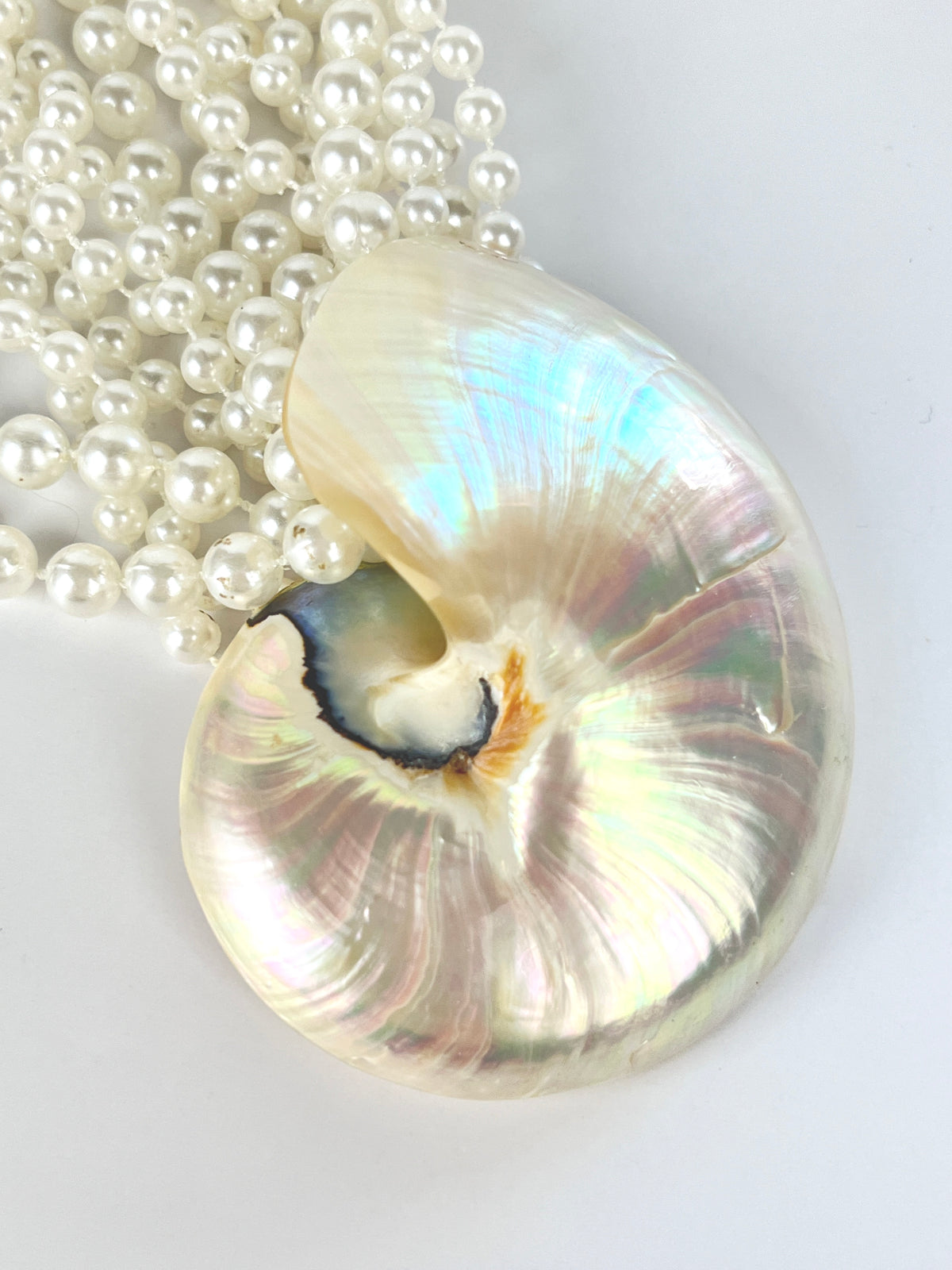 Vintage Nautilus Shell Necklace