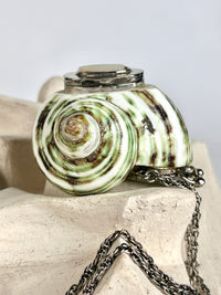 Antique Turbo Shell Snuff Box Necklace