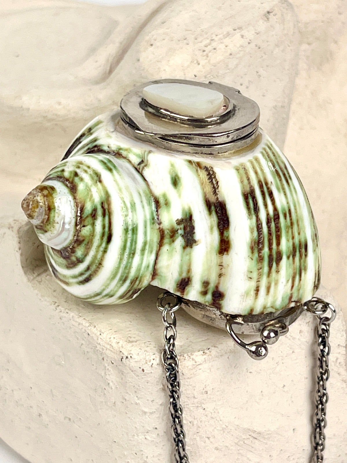 Antique Turbo Shell Snuff Box Necklace