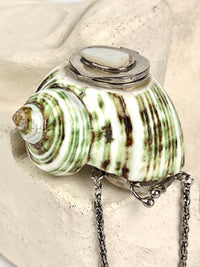 Antique Turbo Shell Snuff Box Necklace