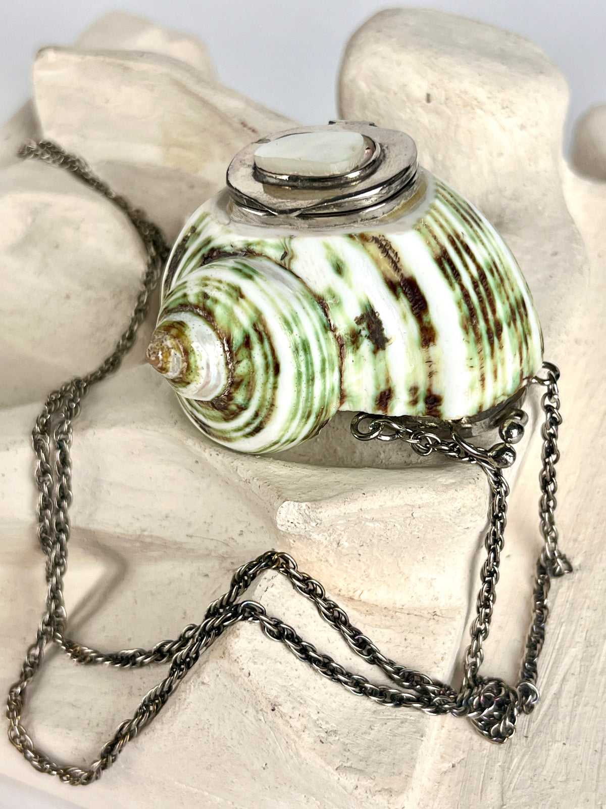 Antique Turbo Shell Snuff Box Necklace