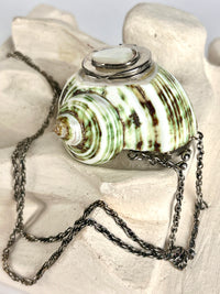 Antique Turbo Shell Snuff Box Necklace