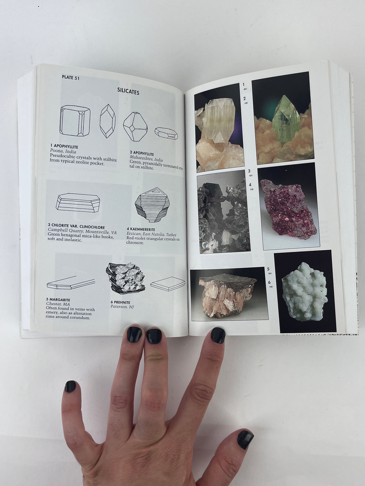 Rocks and Minerals Field Guide