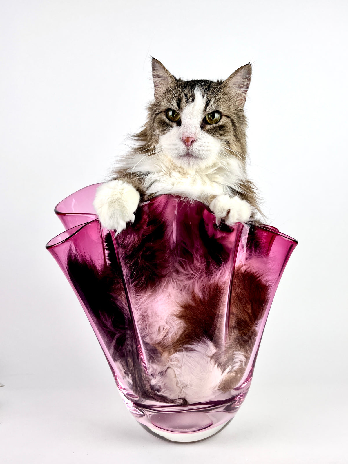 Monumental Blown Glass Fazzoletto Vase by Chalet Canada