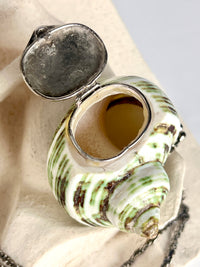 Antique Turbo Shell Snuff Box Necklace
