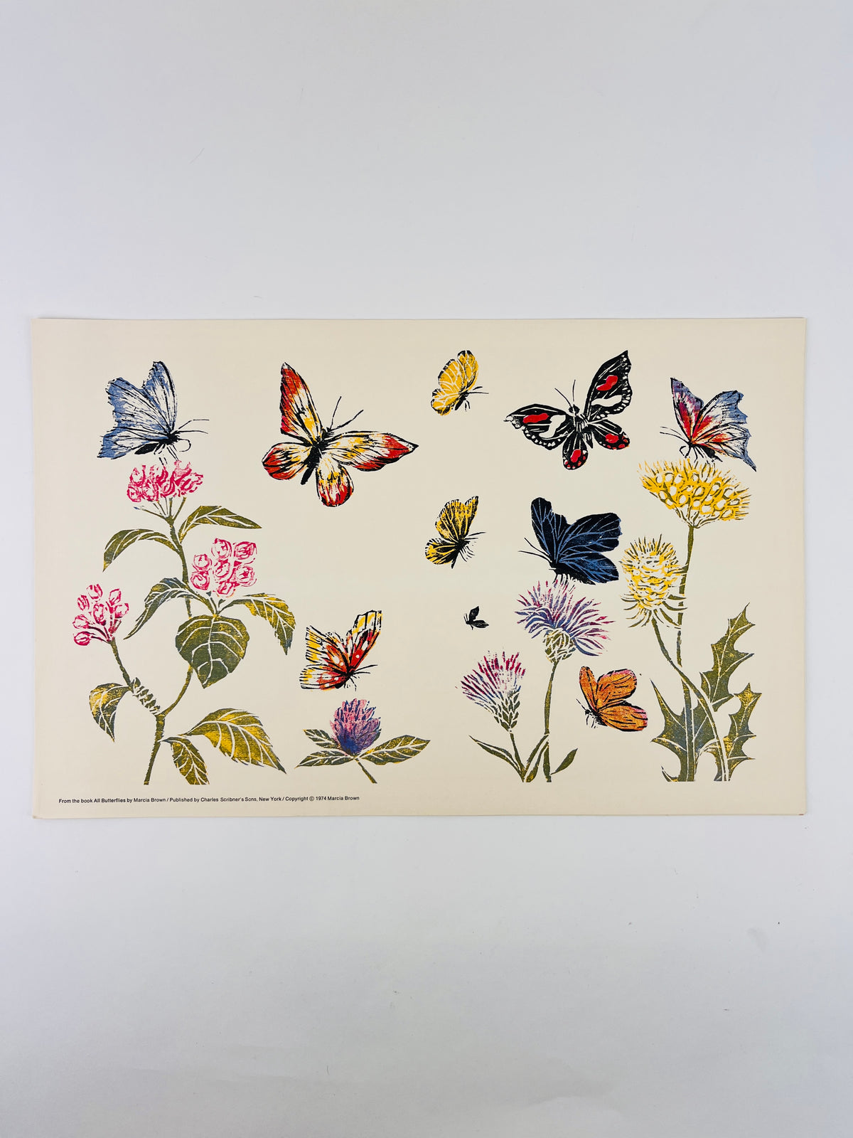 Vintage Butterflies & Flowers Lithograph by Marcia Brown, 1974