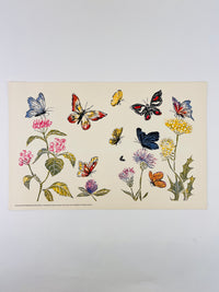 Vintage Butterflies & Flowers Lithograph by Marcia Brown, 1974