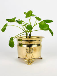 Vintage Brass Lion Head Planter
