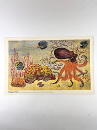Vintage “Octopus Pants” Lithograph by Marcia Brown, 1974