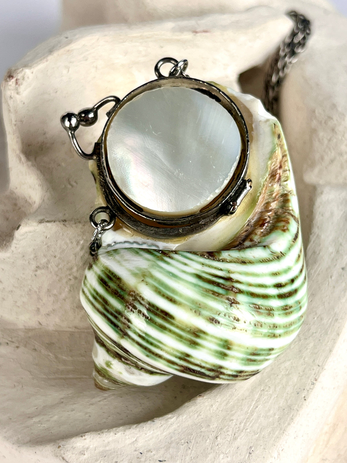 Antique Turbo Shell Snuff Box Necklace