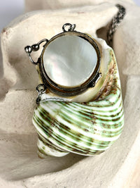 Antique Turbo Shell Snuff Box Necklace