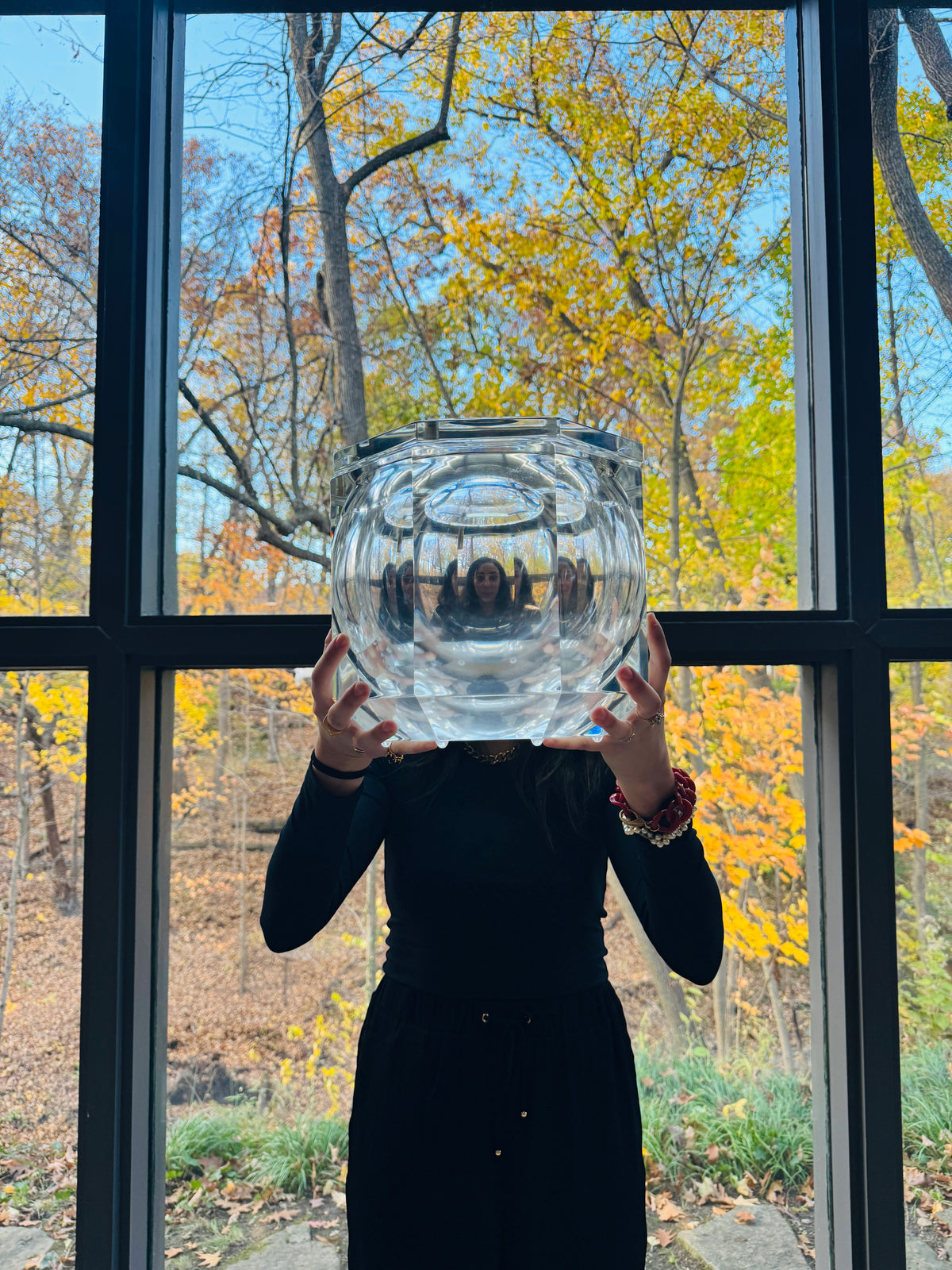 1970s Vintage Alessandro Albrizzi Lucite Ice Bucket