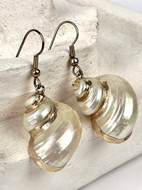 Vintage Gold-Plated Shell Earrings