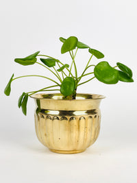 Vintage Ribbed Brass Planter