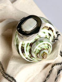 Antique Turbo Shell Snuff Box Necklace