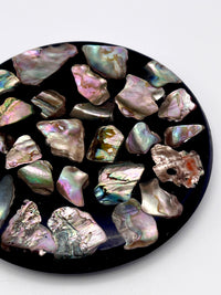 Vintage Abalone Shell Trivet