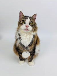 Vintage Shell Necklace