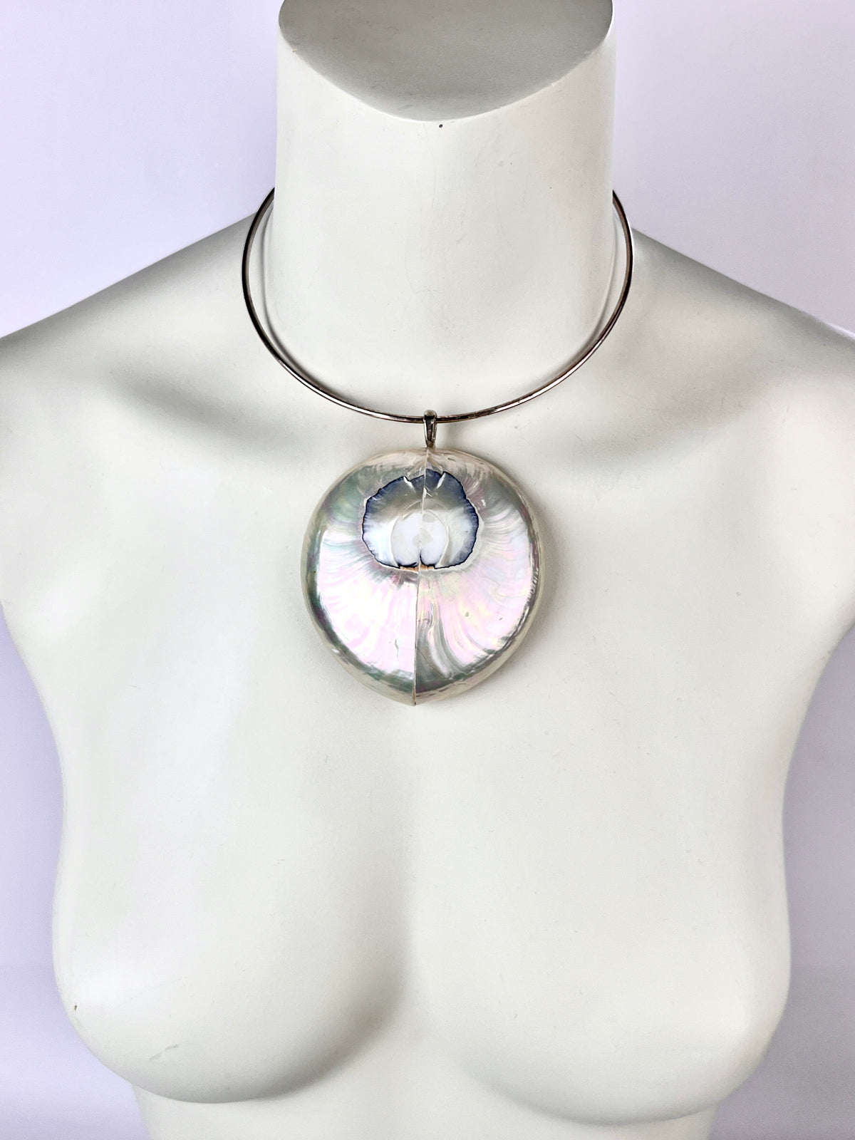 Vintage Nautilus Shell Necklace