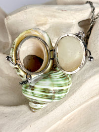 Antique Turbo Shell Snuff Box Necklace