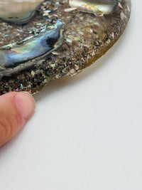 Vintage Abalone Shell Trivet