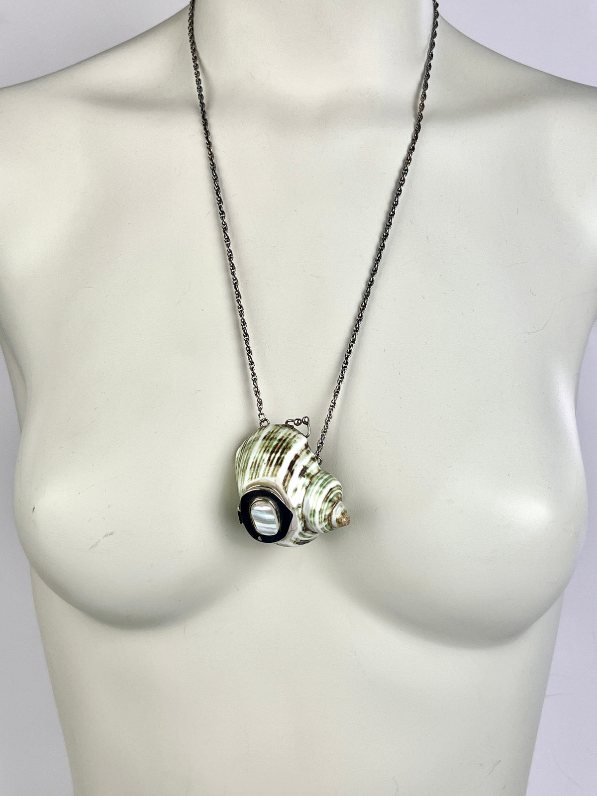 Antique Turbo Shell Snuff Box Necklace