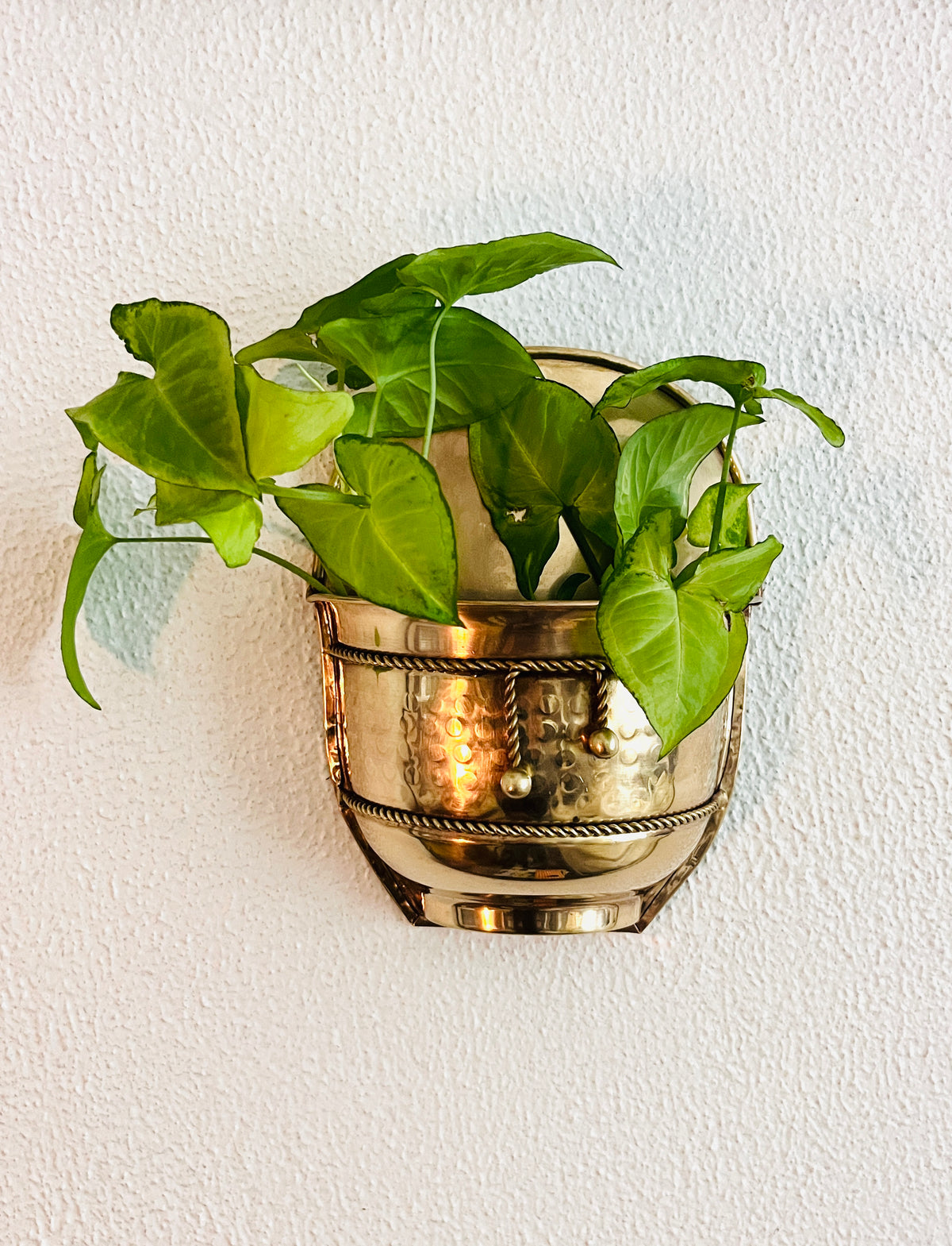 Vintage Brass Wall Planter