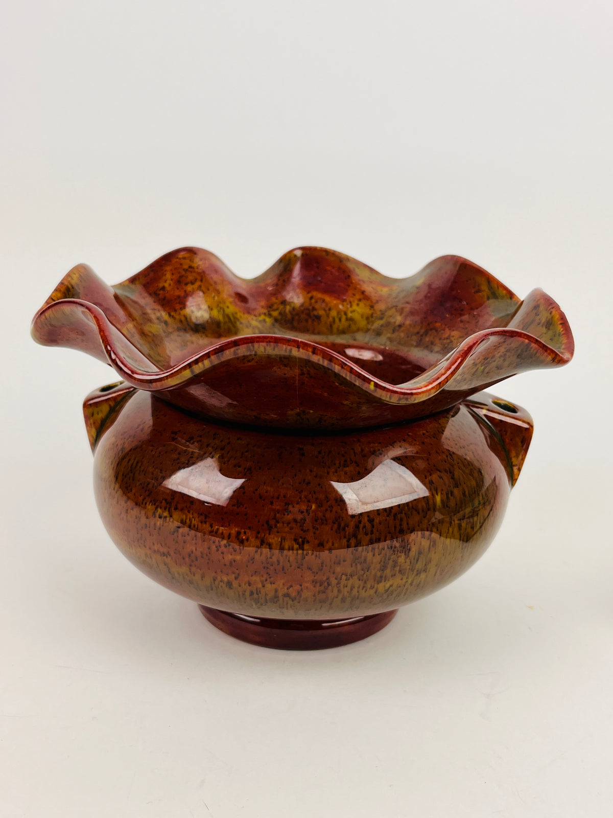 Vintage Self-Watering Hanging Planter