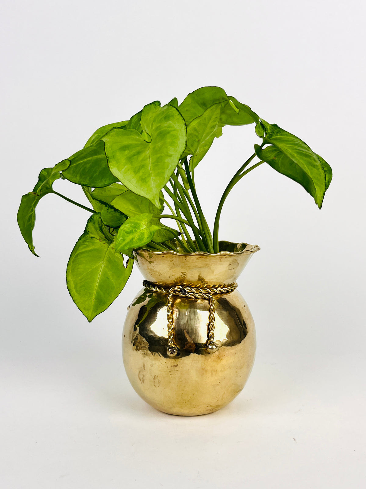 Vintage Brass Planter / Vase