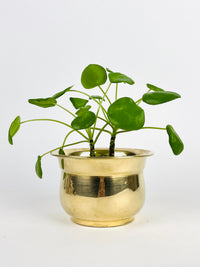 Vintage Brass Planter