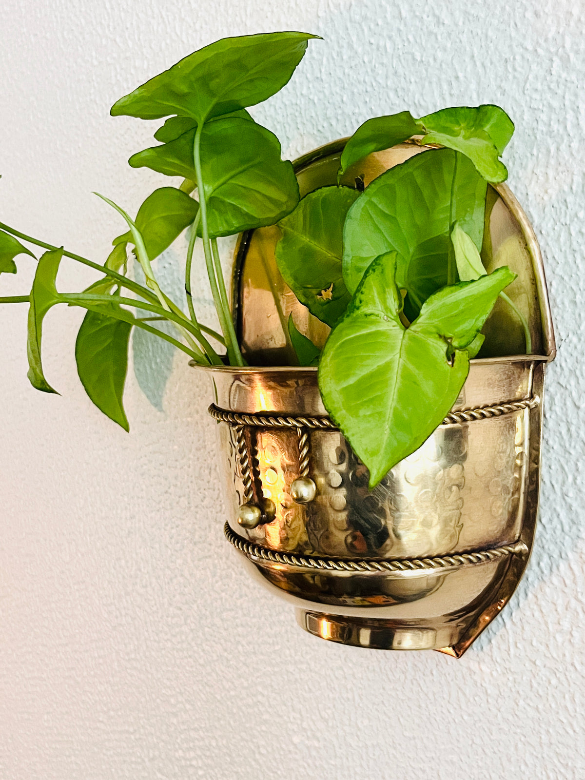 Vintage Brass Wall Planter