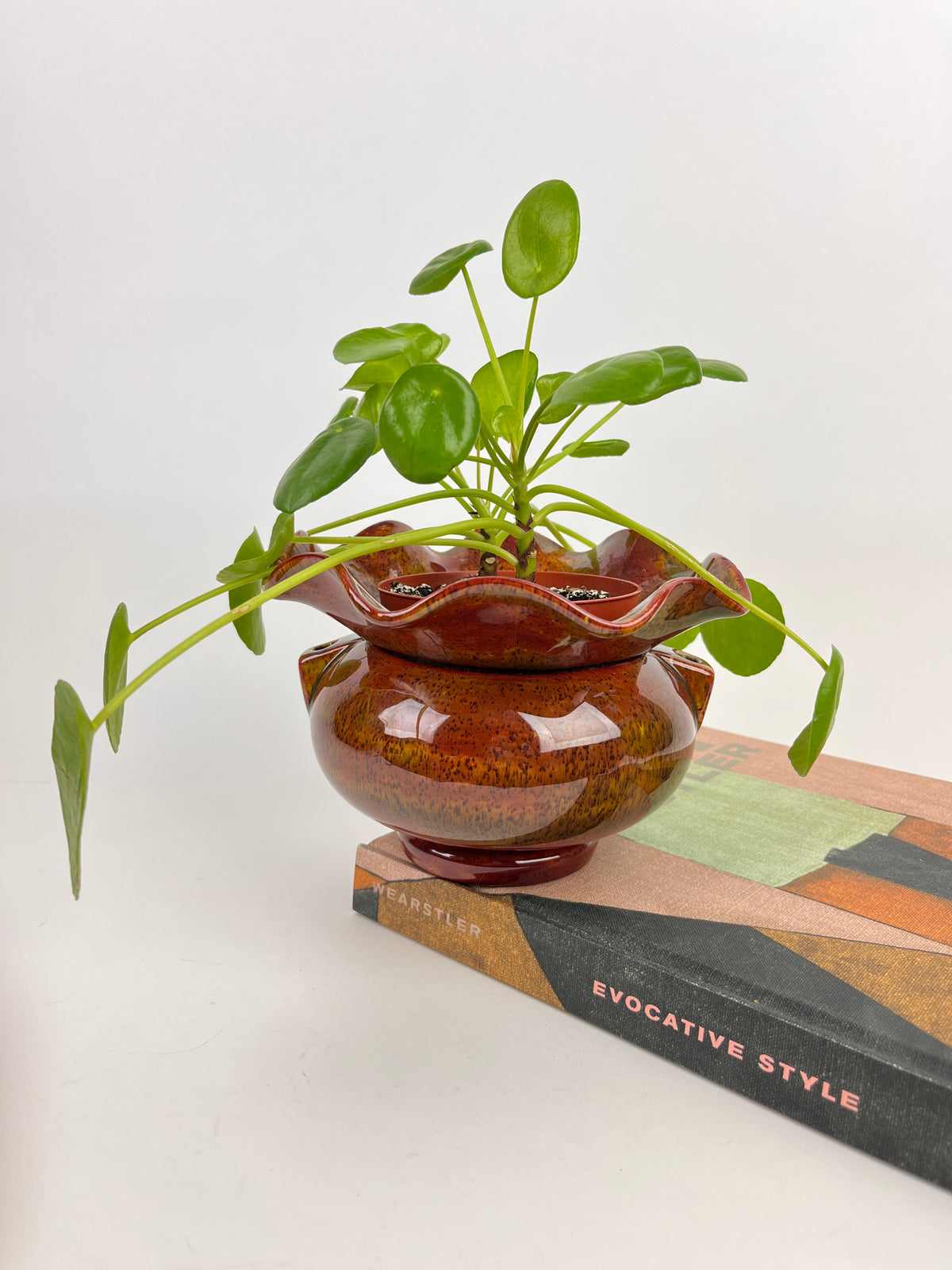 Vintage Self-Watering Hanging Planter