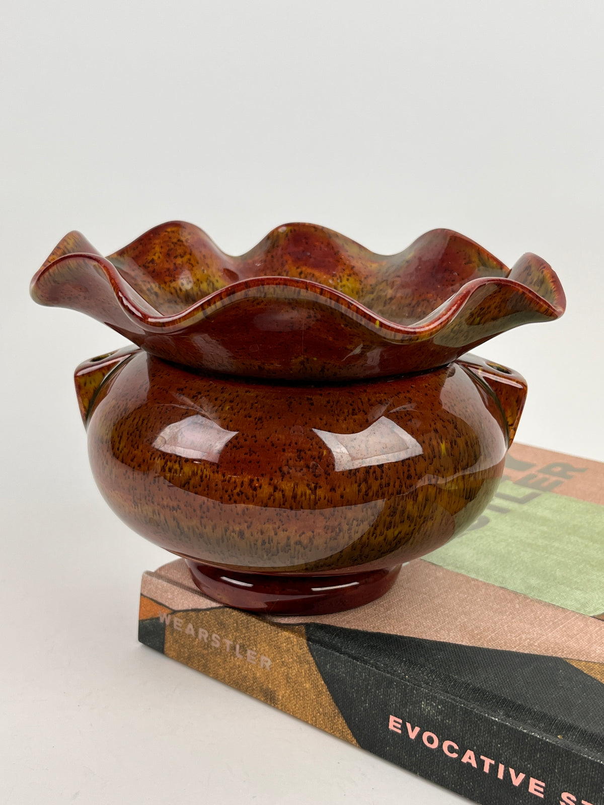 Vintage Self-Watering Hanging Planter