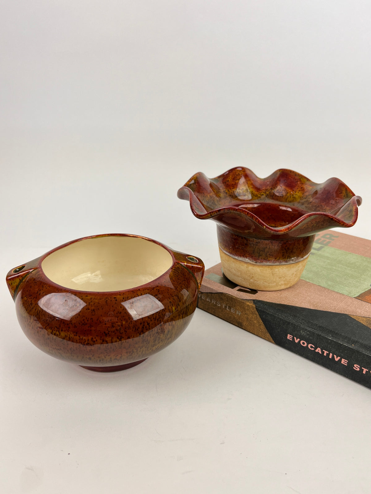 Vintage Self-Watering Hanging Planter