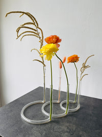 Vase & Flower: Composition 5