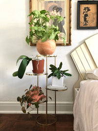 Vintage 1960s Brass and Glass Plant Stand