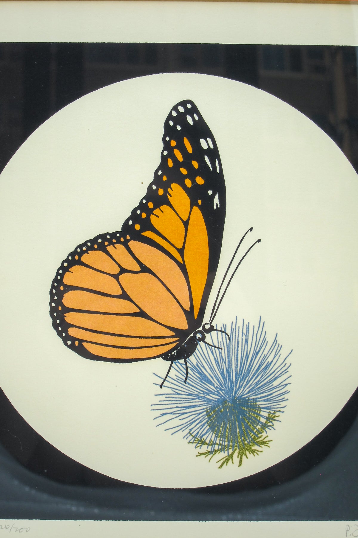 Framed Monarch Butterfly Screen Print