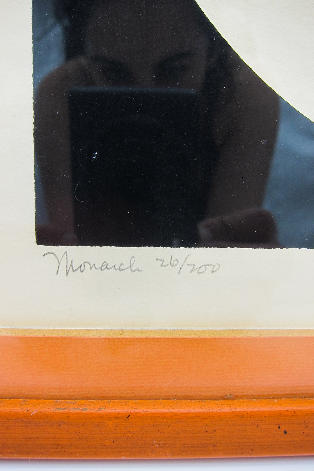 Framed Monarch Butterfly Screen Print