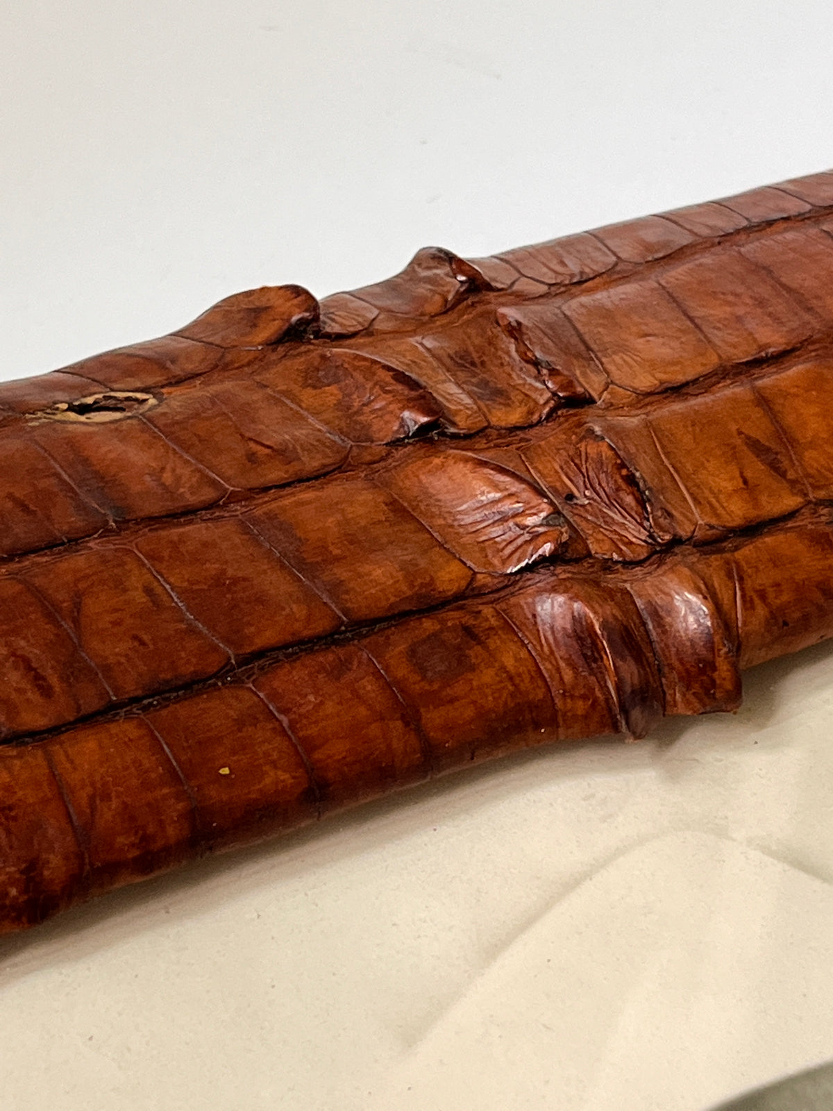 Rare 1930s Genuine Crocodile Skin Picture Frame