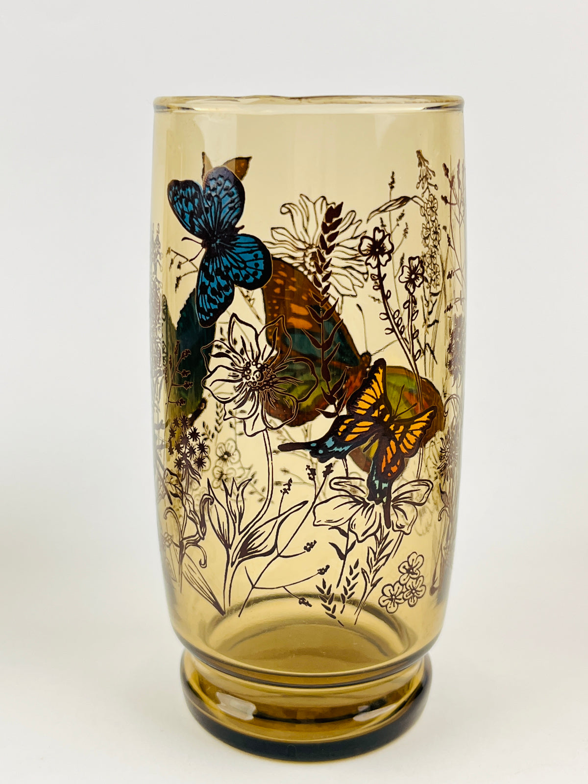 Vintage Butterfly Glasses