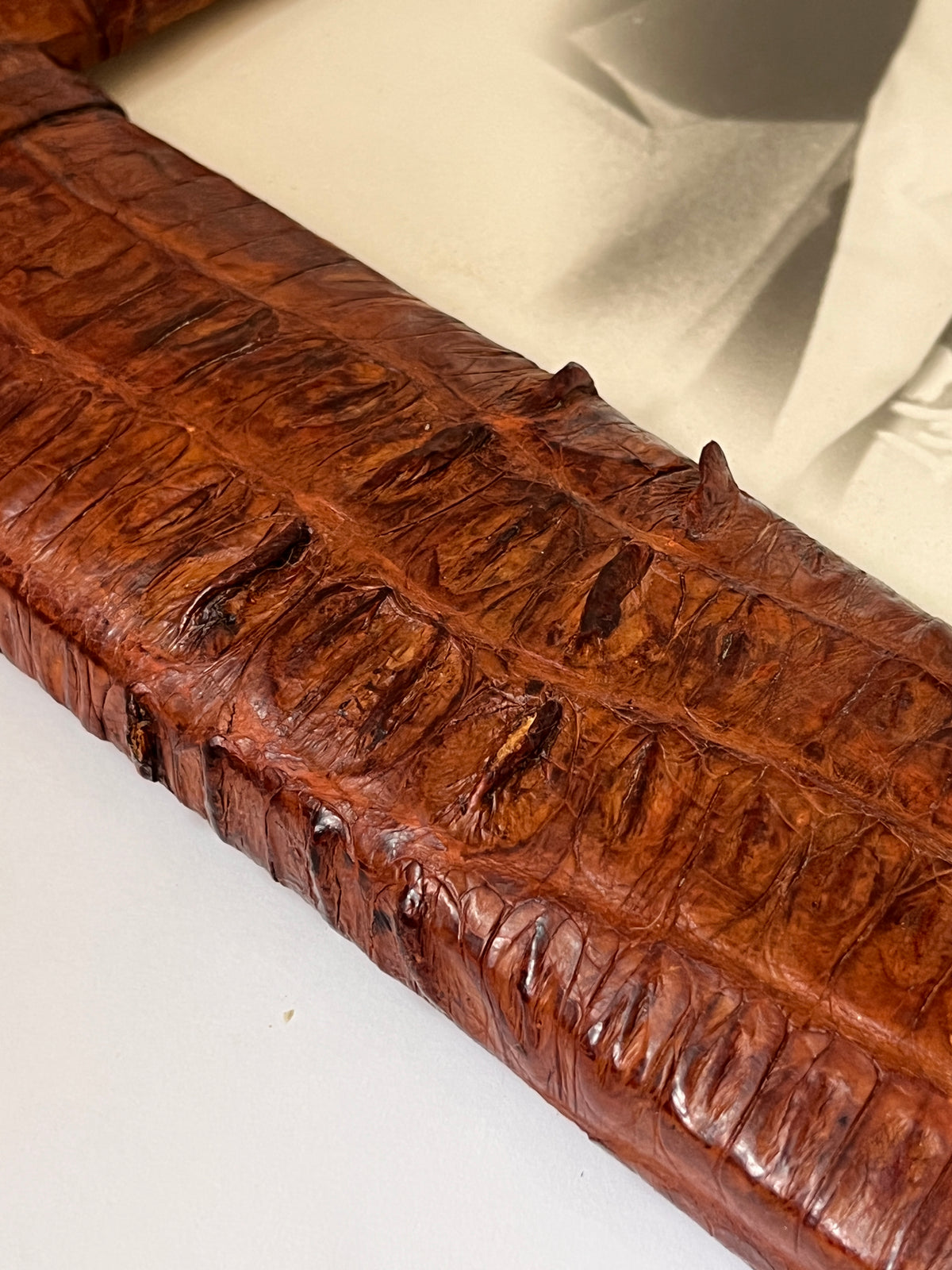 Rare 1930s Genuine Crocodile Skin Picture Frame