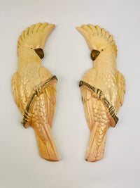 Vintage Chalkware Cockatoo Set