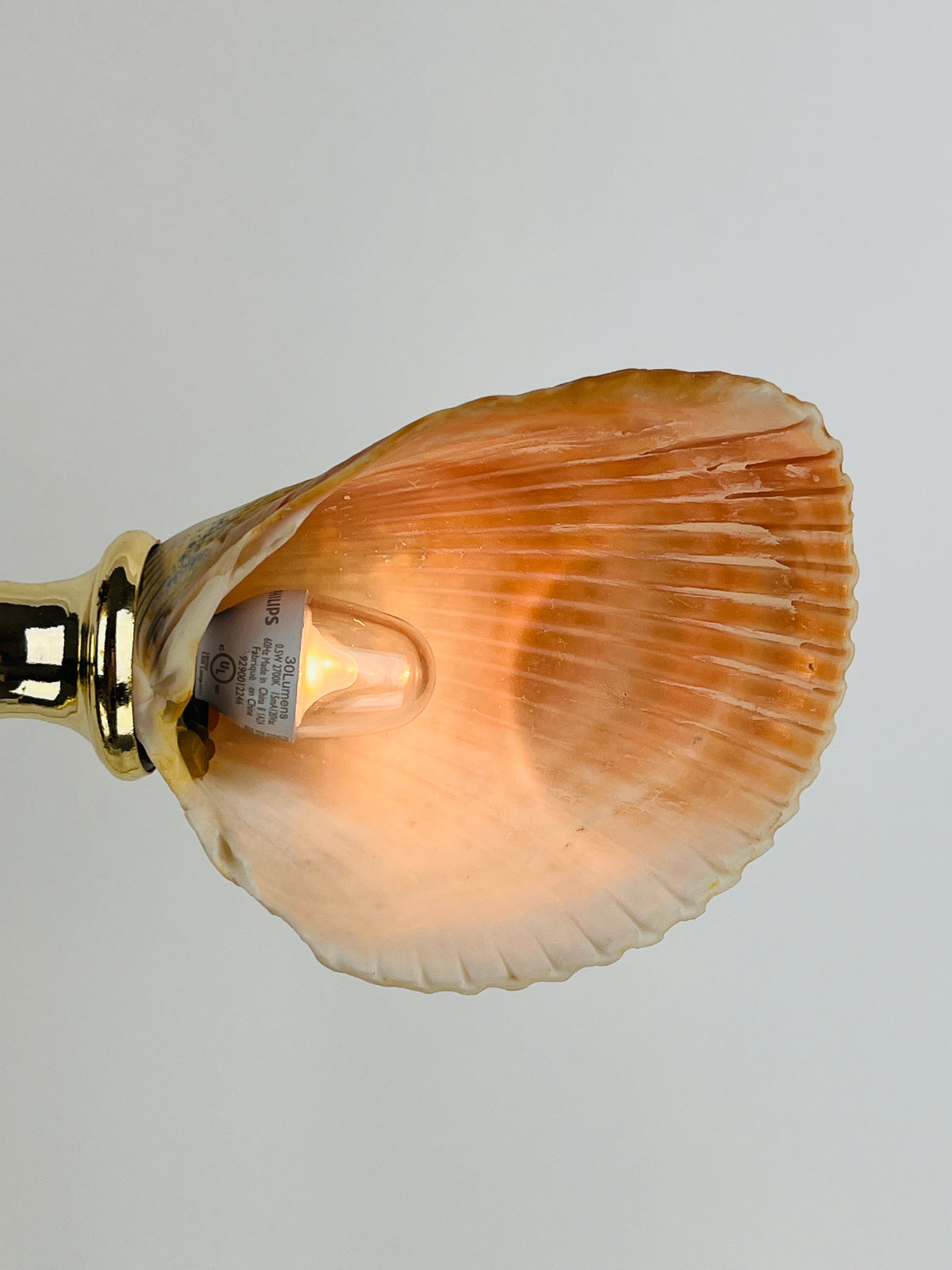 Vintage Lucite and Seashell Lamp
