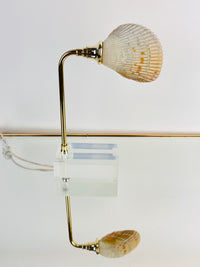 Vintage Lucite and Seashell Lamp