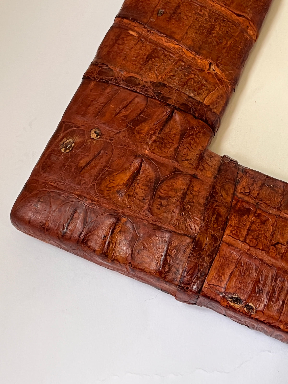 Rare 1930s Genuine Crocodile Skin Picture Frame