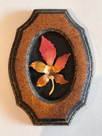 1970s Nature Wall Art