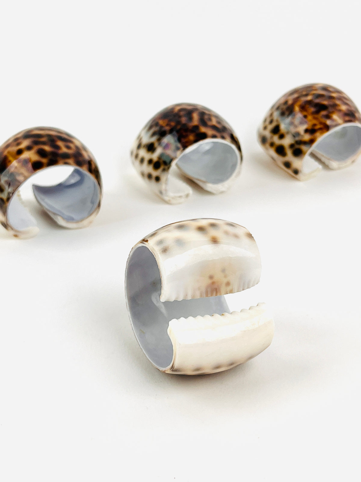Vintage Tiger Cowrie Napkin Rings