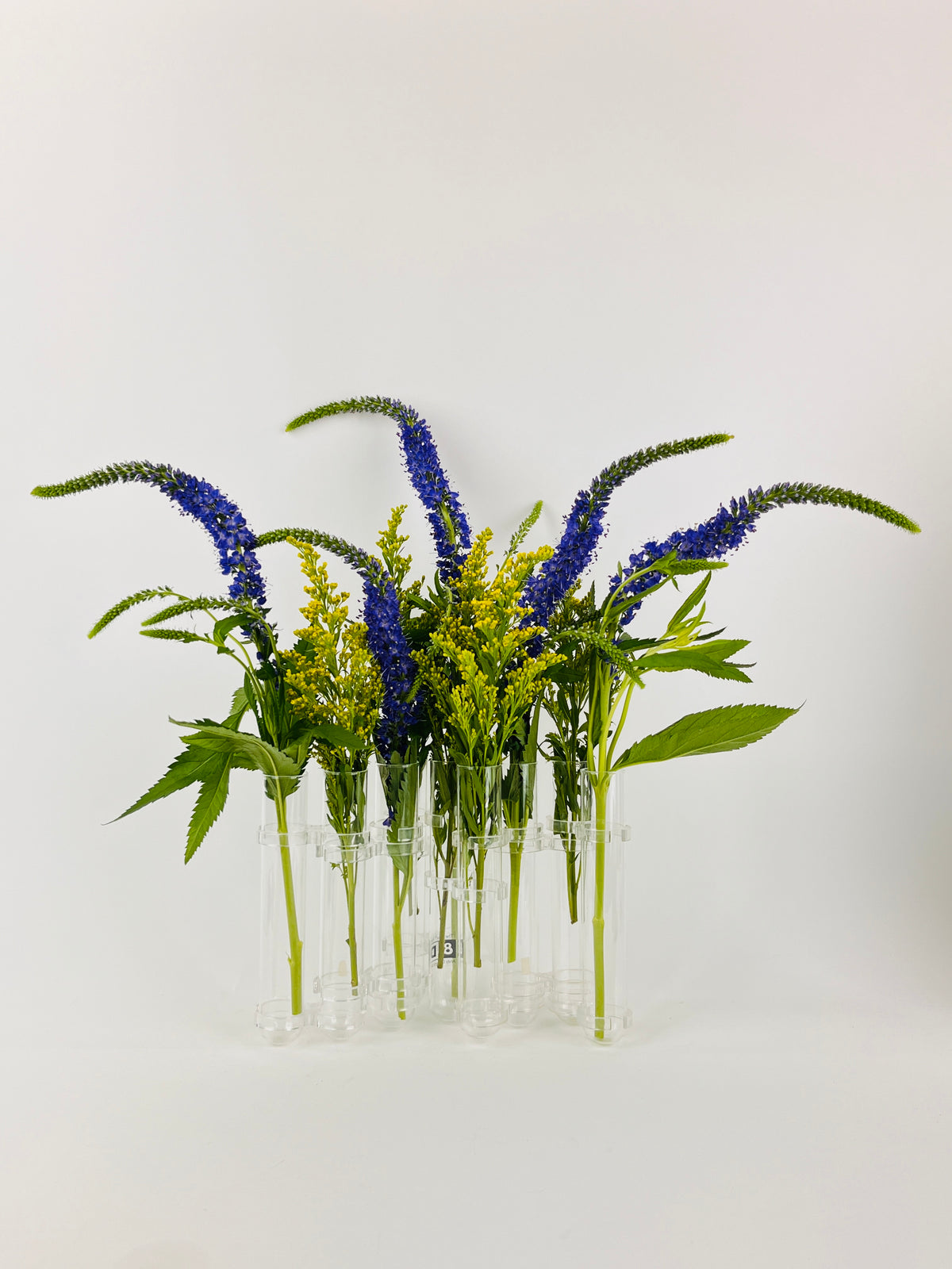 Andy Designs Flex Vase, 1994