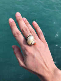 Seaman Schepps 14K Turbo Shell Ring