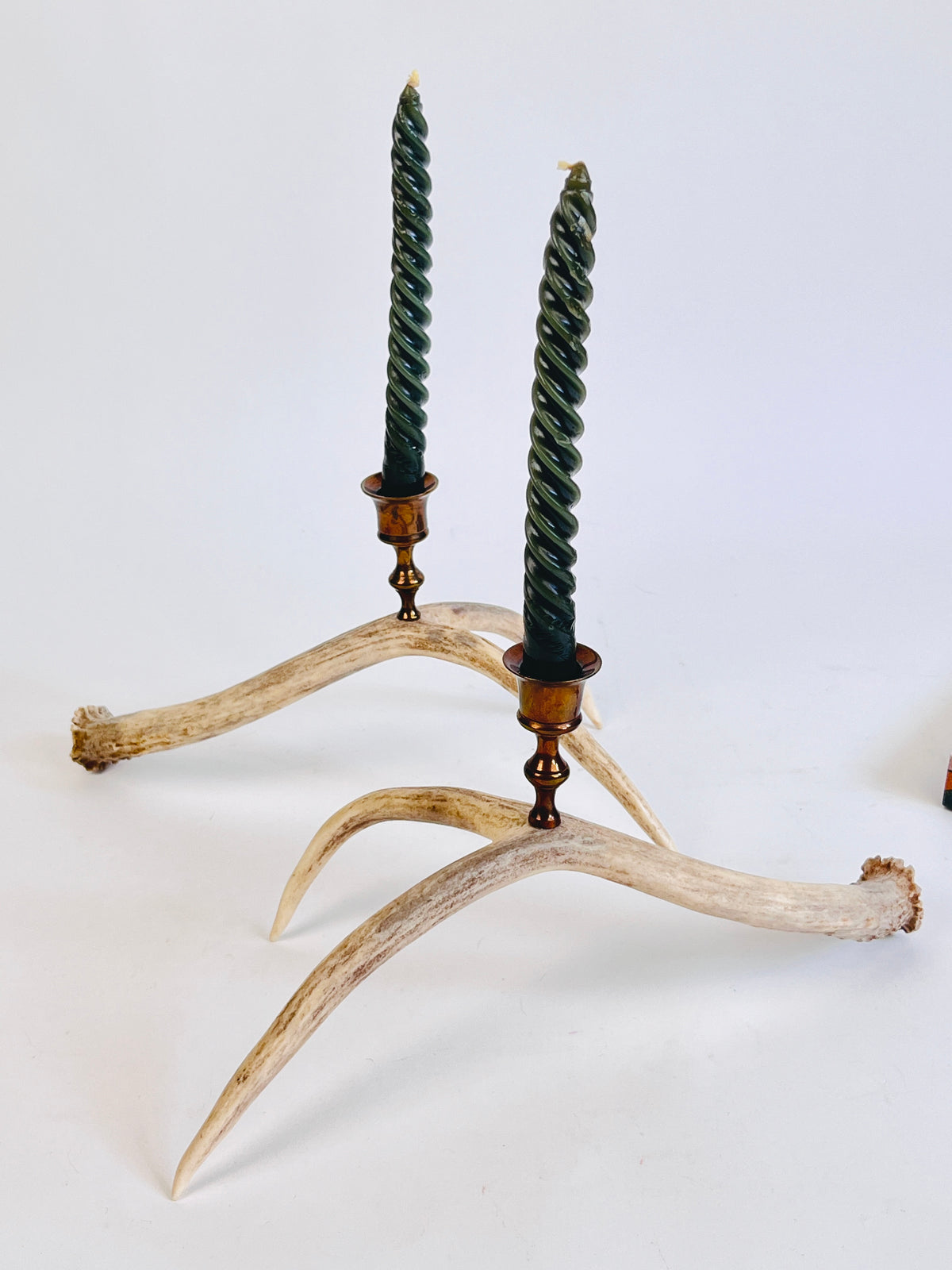 Natural Drop Antler Candle Holders, a Pair